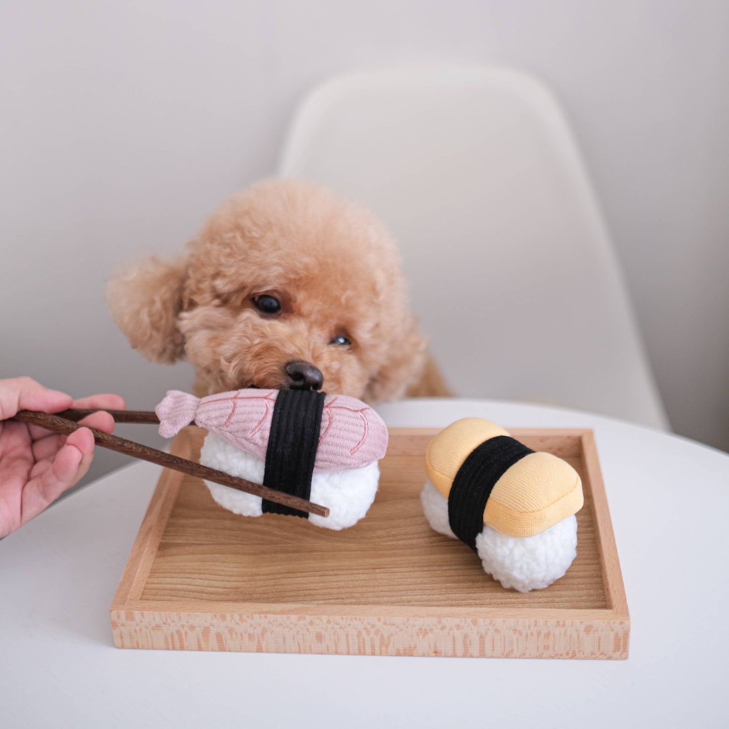 Jouet d'enrichissement pour chien SUSHI