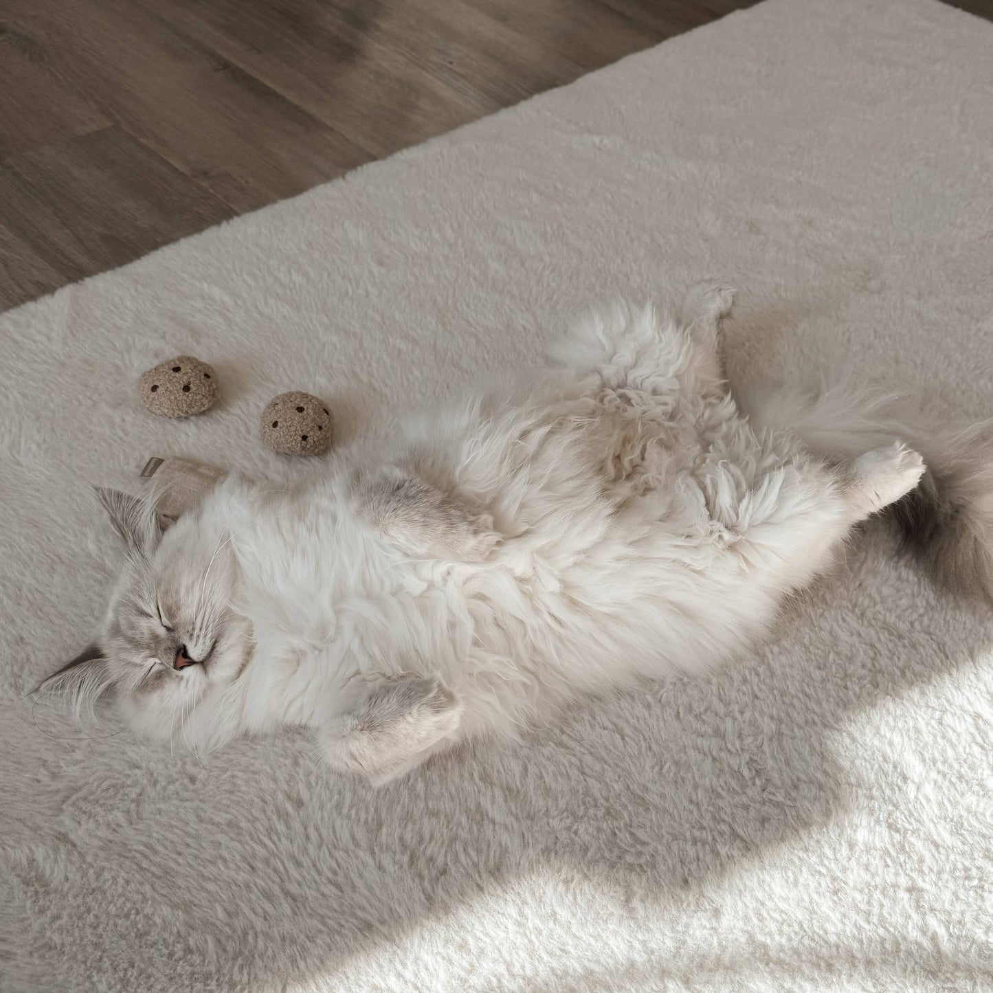 Jouet l’Heure du Thé