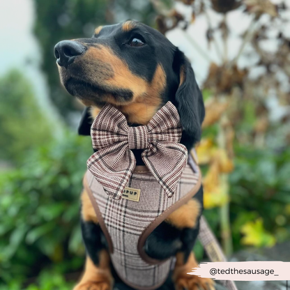 Harnais ajustable Pup Plaid