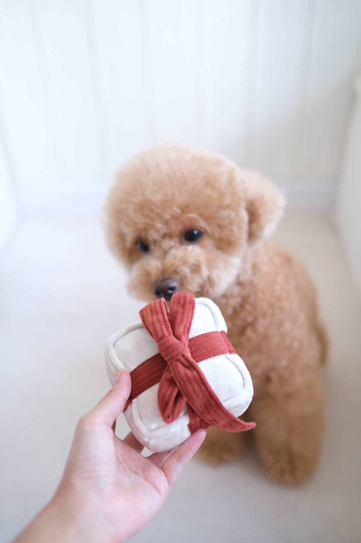 Jouet Cadeau - Neige