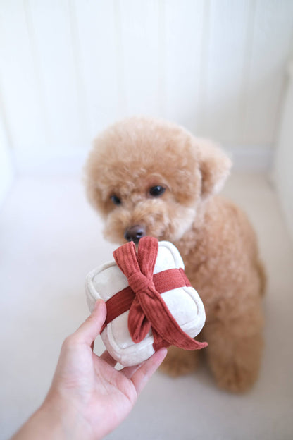 Jouet Cadeau - Neige
