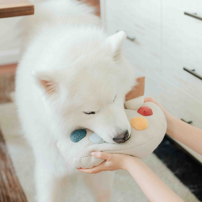 Jouet d’enrichissement Palette de couleurs