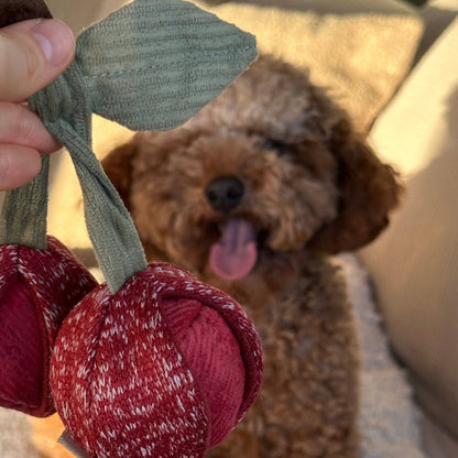 Jouet Cherry POP