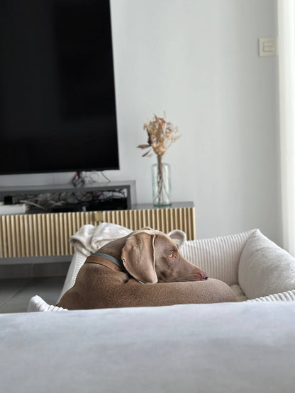 Panier pour chien en velours côtelé - Blanc
