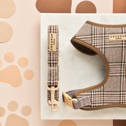 Laisse Pup Plaid