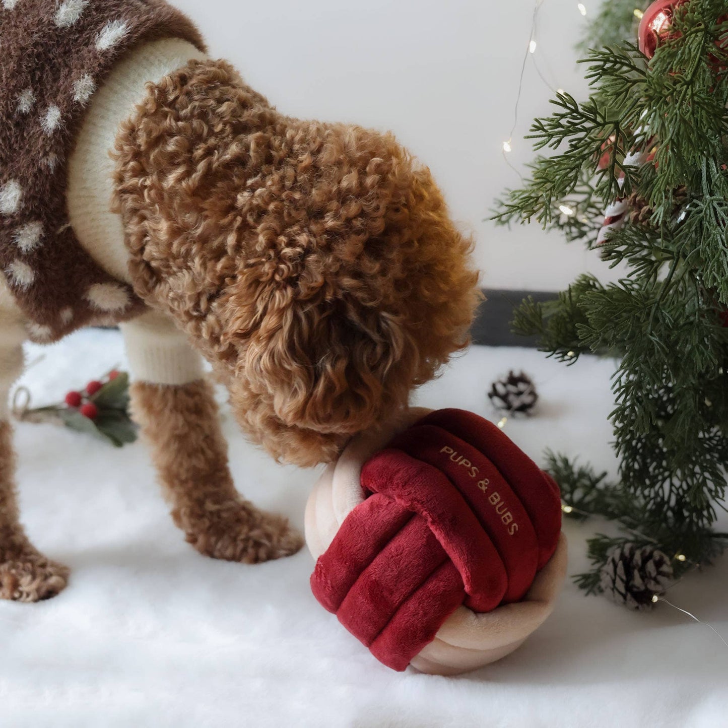 Jouet Jingle Snuffle