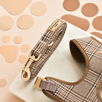 Laisse Pup Plaid